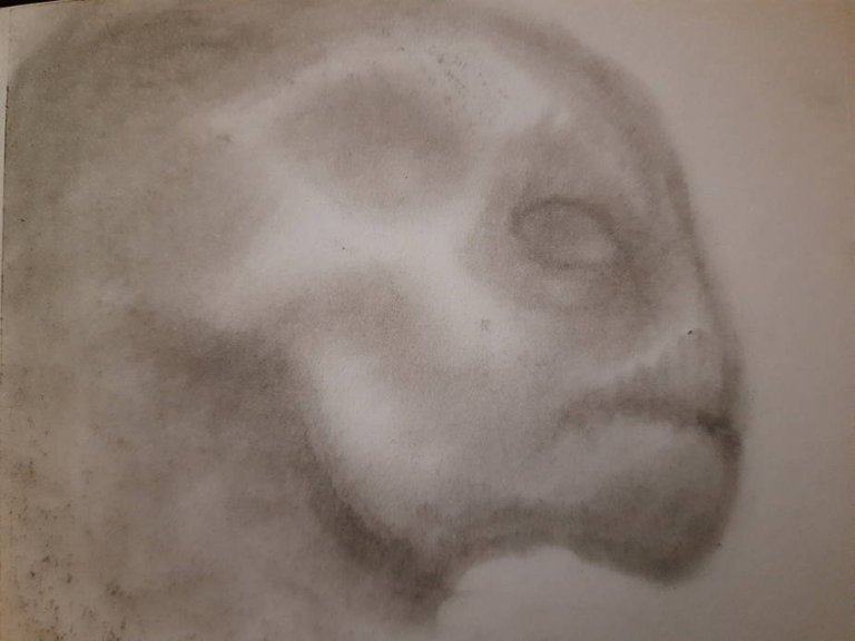 20250520_105253.jpg