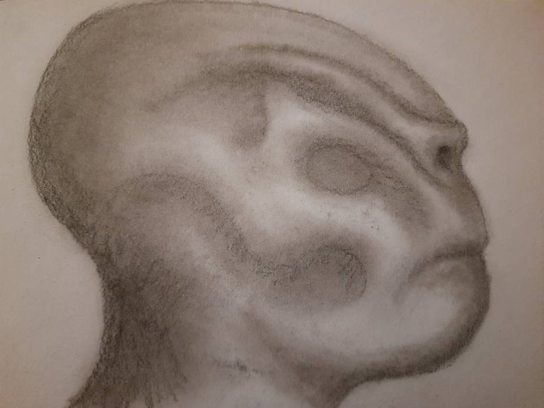 20250517_110907.jpg