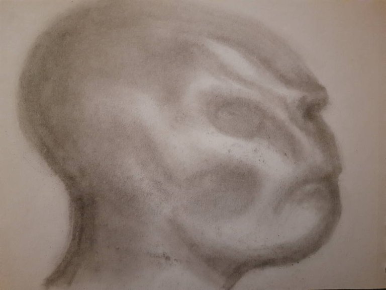 20250517_110303.jpg