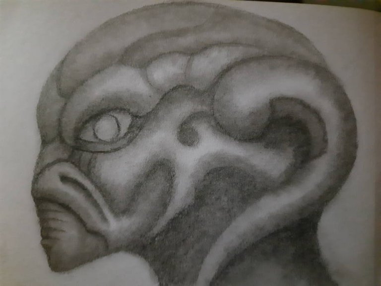 20240713_114934.jpg