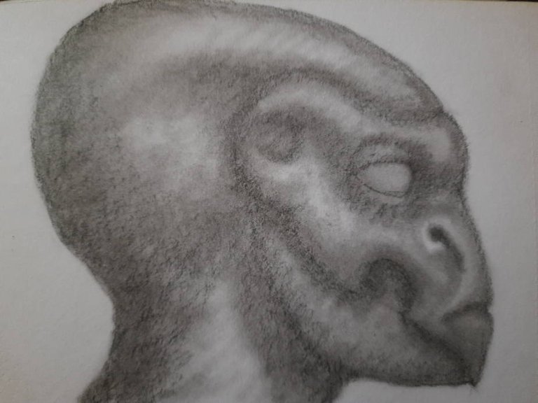 20250528_105807.jpg
