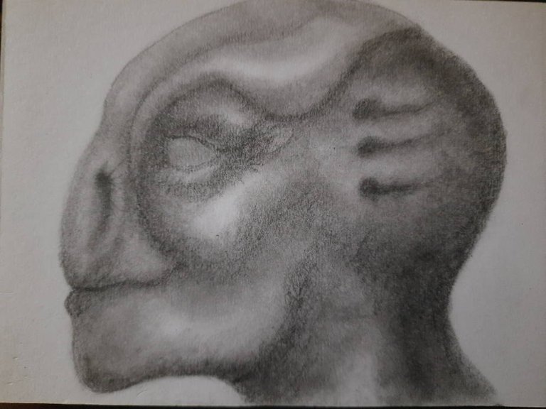 20240602_100257.jpg