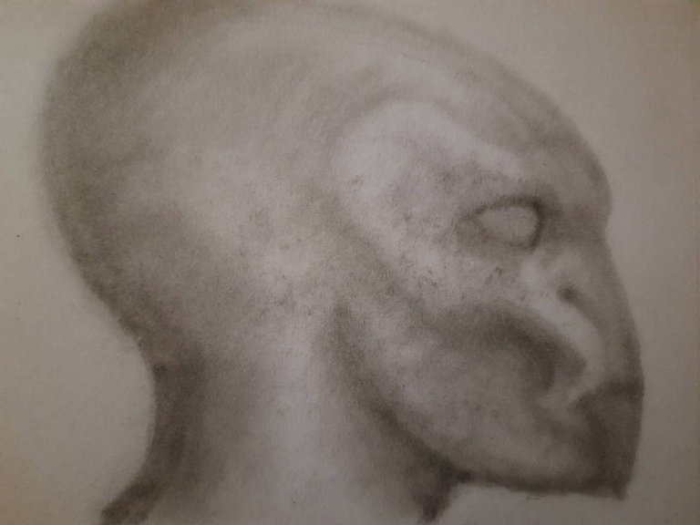 20250528_104231.jpg
