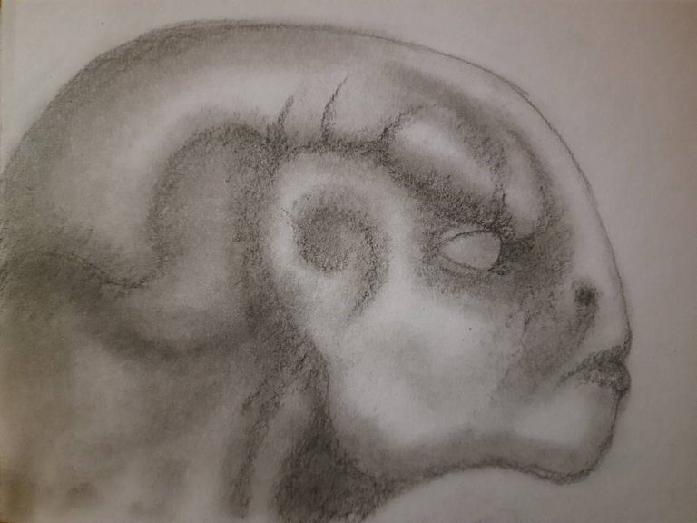 20250504_100643.jpg