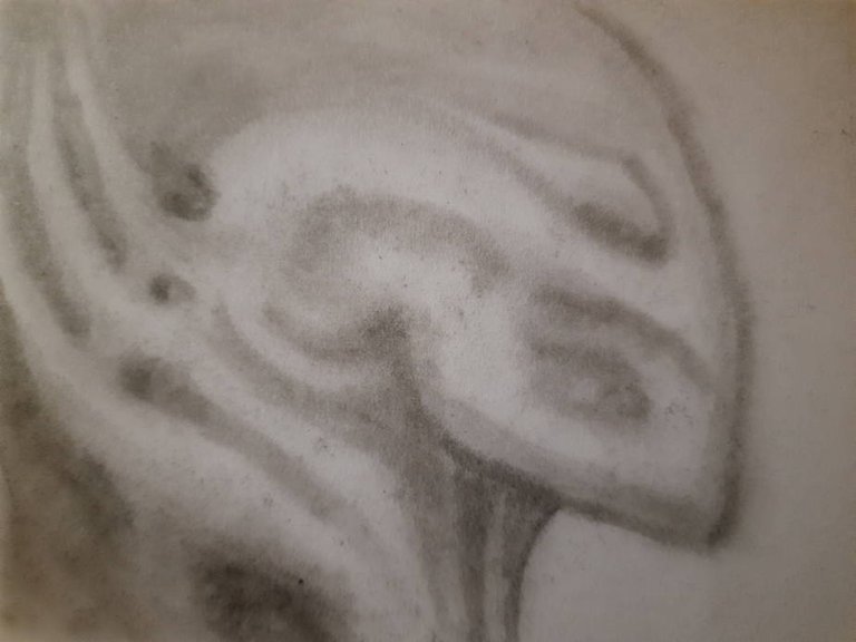 20240817_112712.jpg