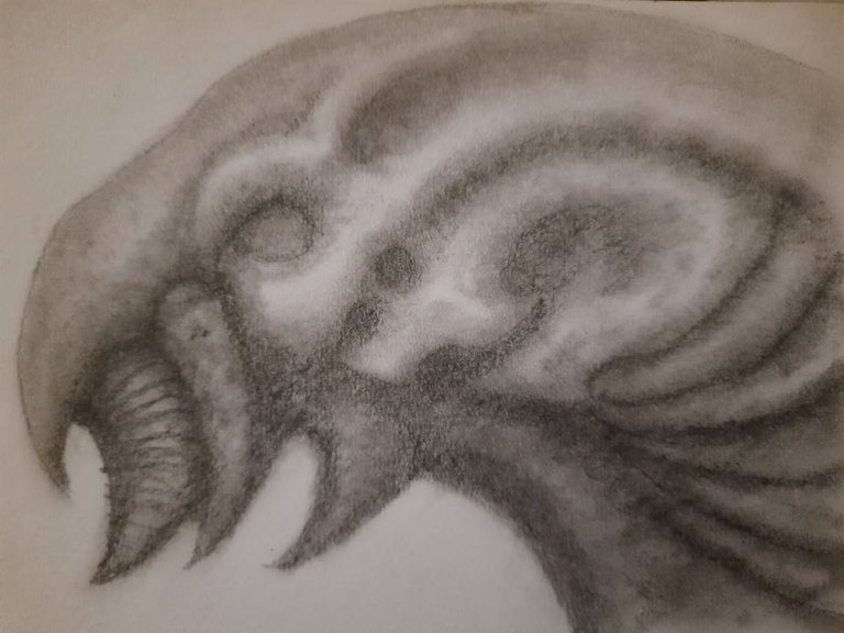 20240612_105156.jpg