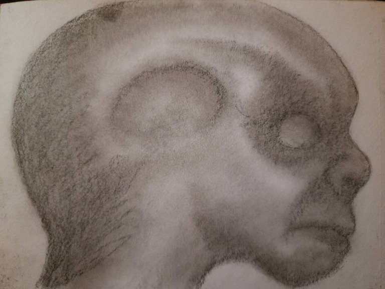 20250430_104249.jpg