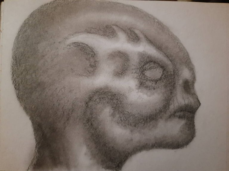 20250519_111725.jpg