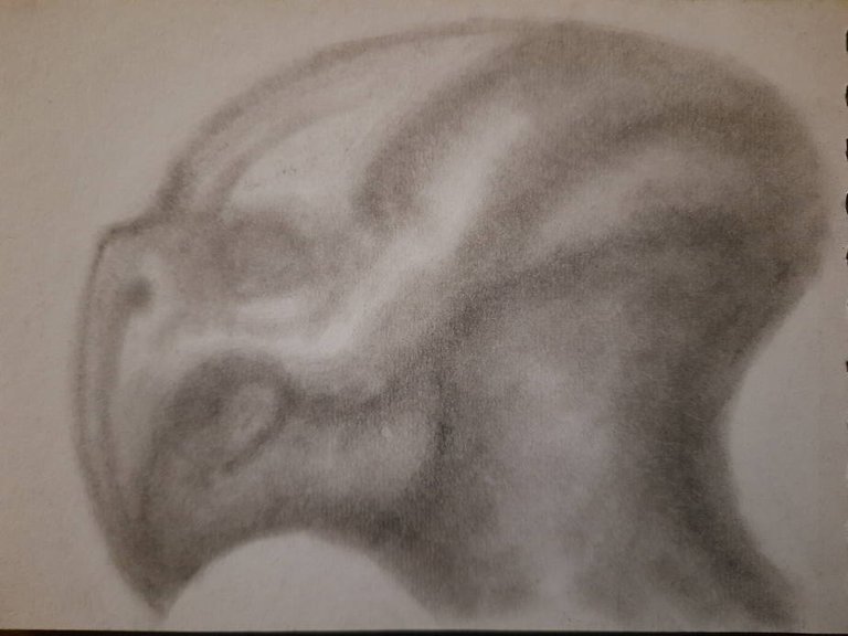 20240605_111452.jpg