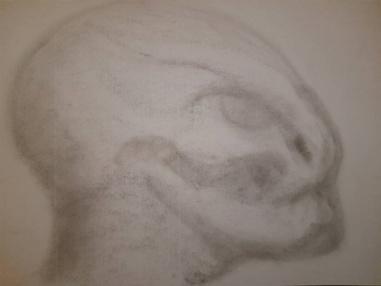 20250710_105512.jpg