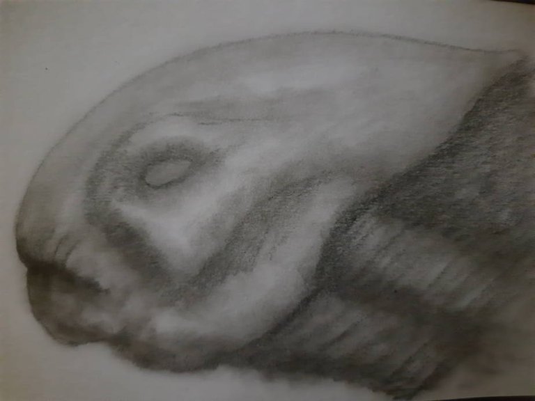 20250714_110113.jpg