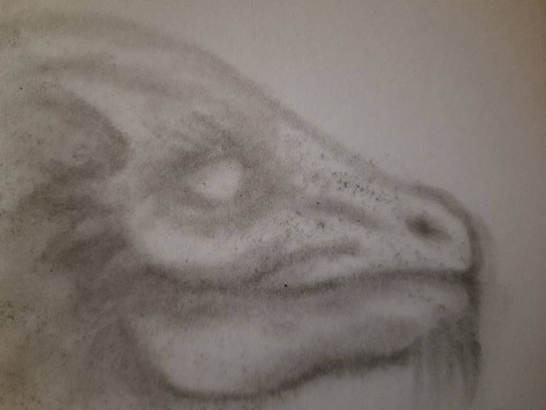 20240720_110352.jpg