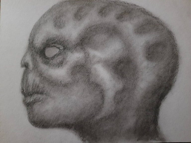 20250602_111831.jpg