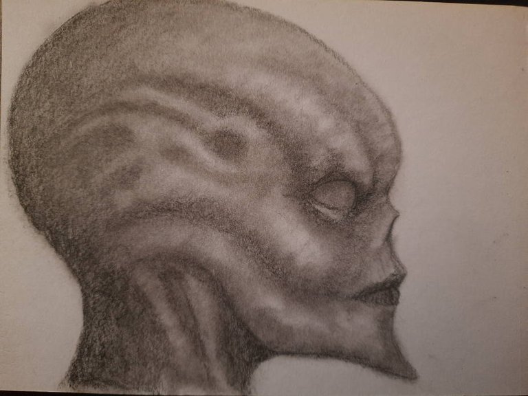 20240913_104922.jpg