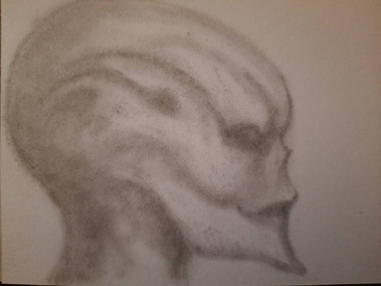 20240913_103214.jpg