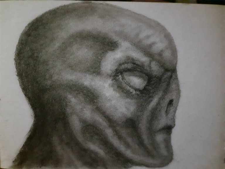 20240930_113613.jpg