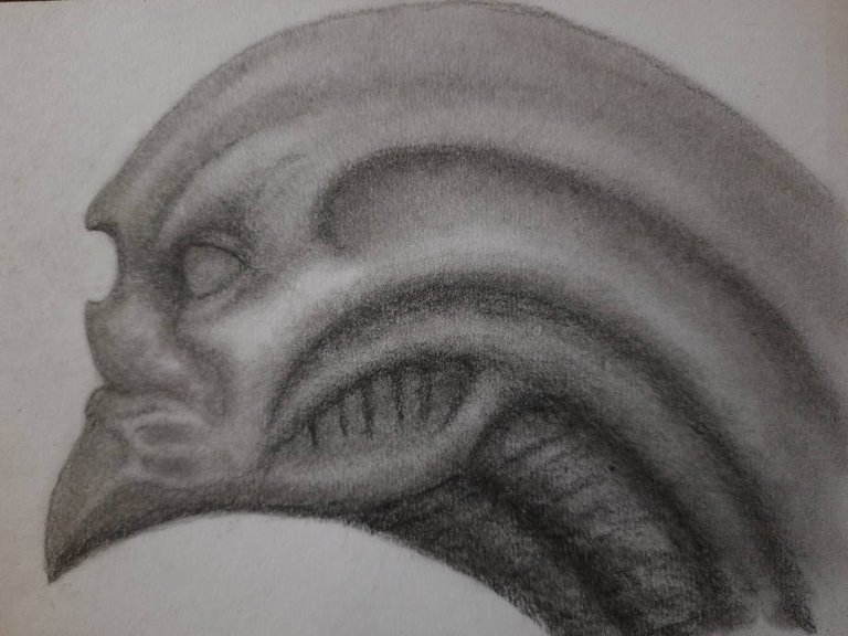 20240501_115030.jpg