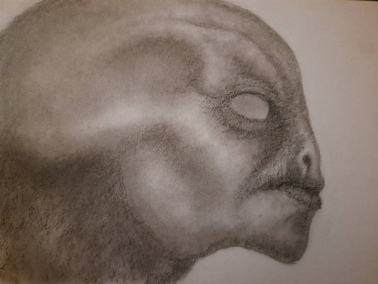 20250520_110842.jpg