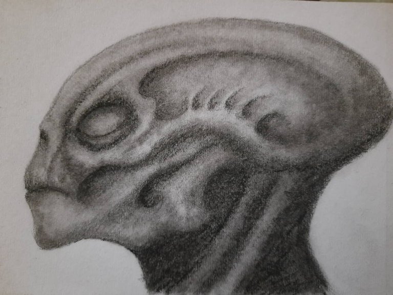20240611_110915.jpg