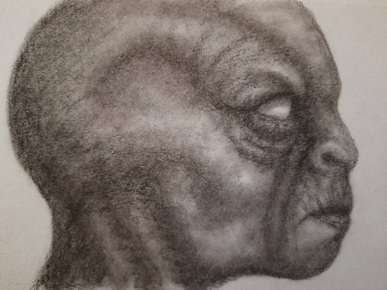 20250412_114208.jpg