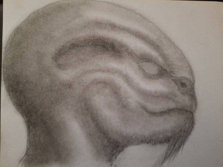 20240918_111039.jpg