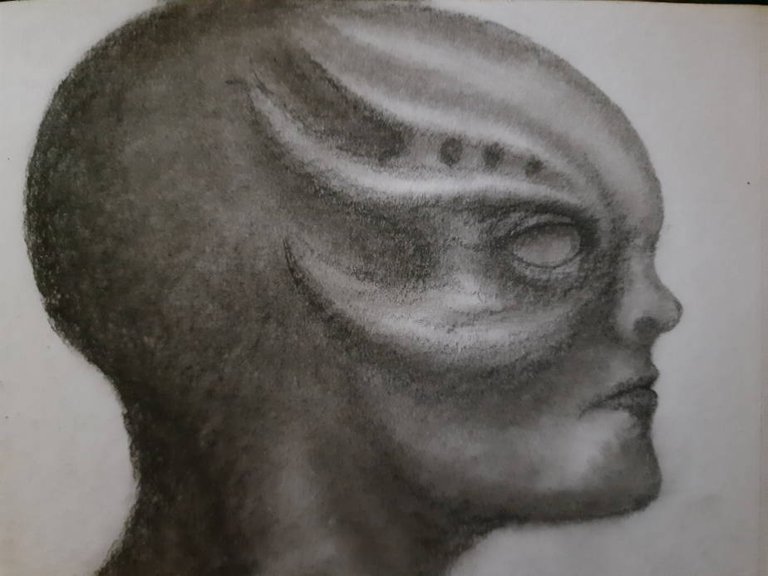 20250524_113730.jpg