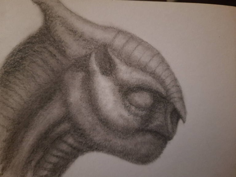20240723_111339.jpg