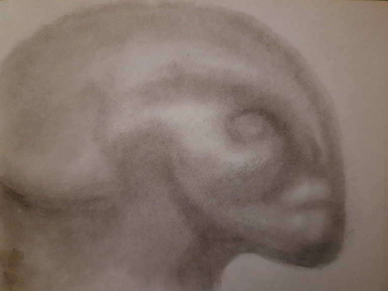 20250522_110154.jpg