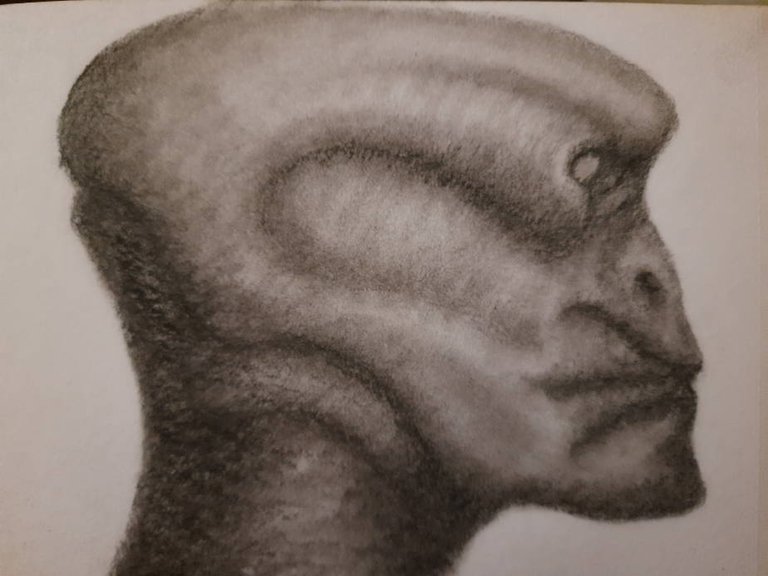 20250606_111902.jpg