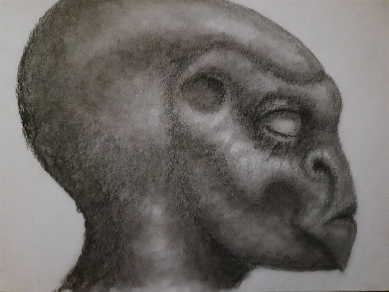 20250528_111822.jpg