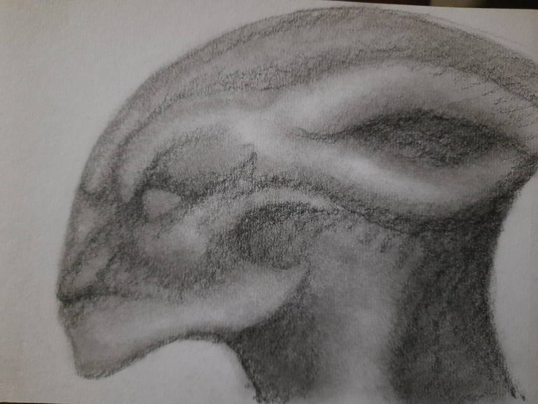 20240531_111847.jpg