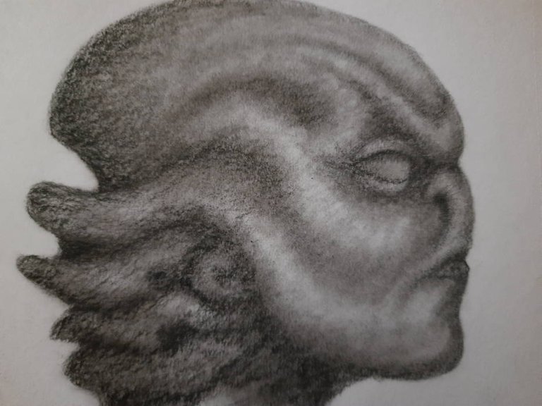 20250514_114043.jpg