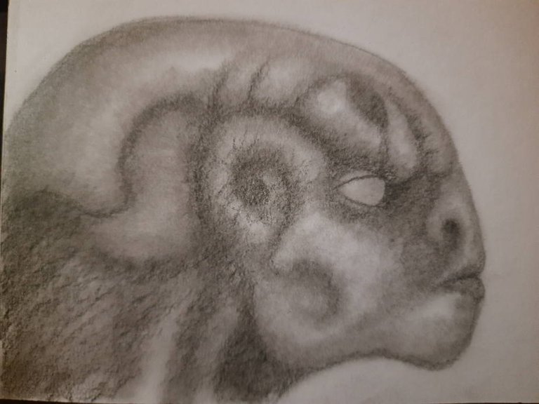 20250504_102022.jpg