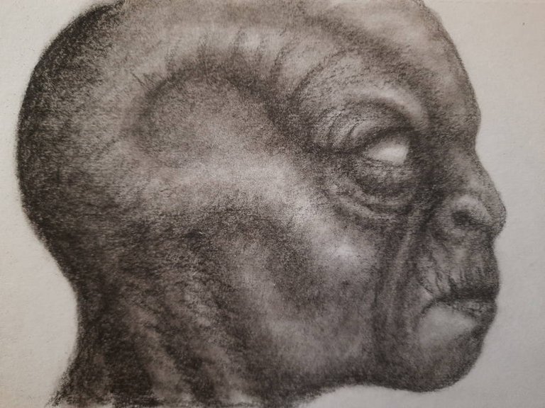 20250412_114738.jpg