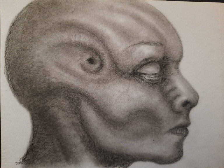 20240916_113303.jpg
