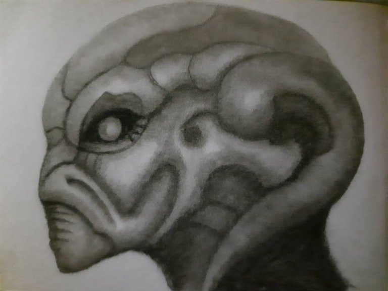 20240713_120657.jpg
