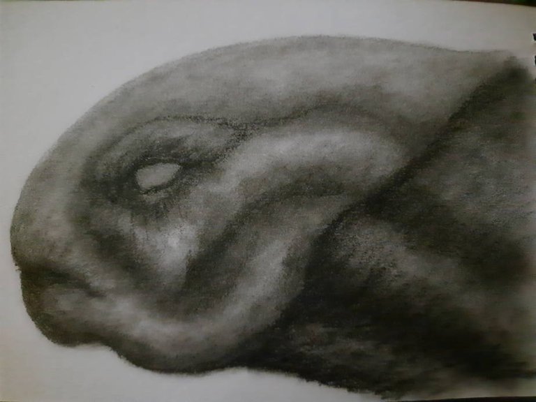 20250714_112041.jpg