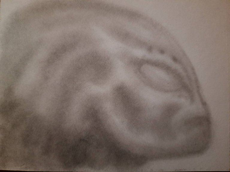 20250508_110117.jpg