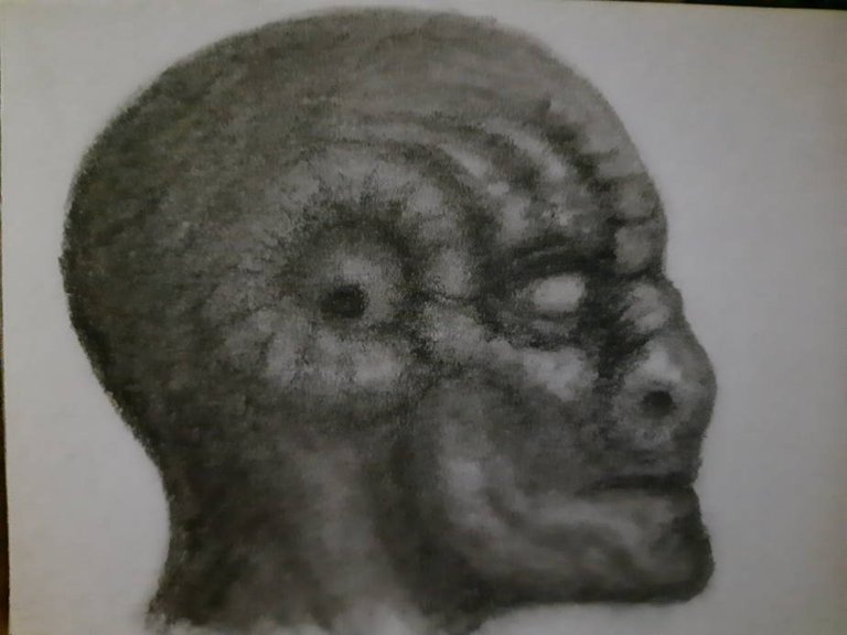 20241006_103302.jpg