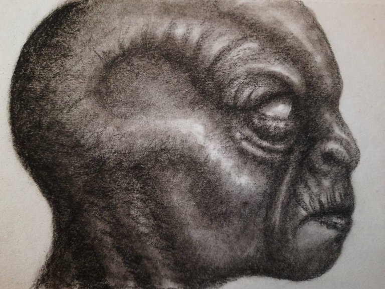 20250412_115008.jpg