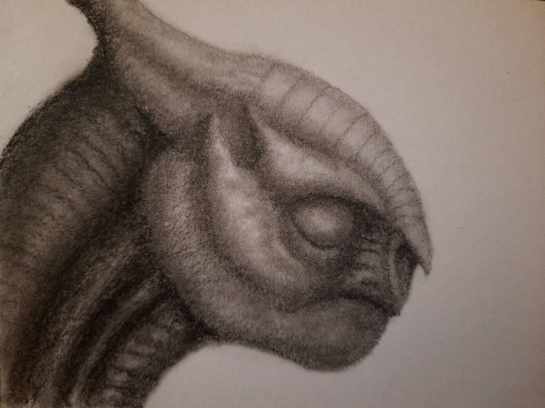 20240723_112336.jpg