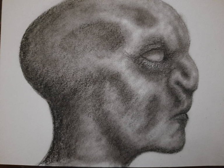 20250715_104402.jpg