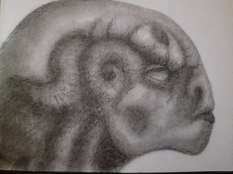 20250504_103939.jpg