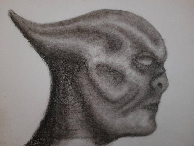 20250701_105932.jpg