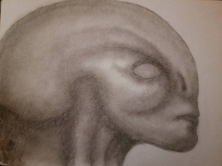 20250522_111138.jpg