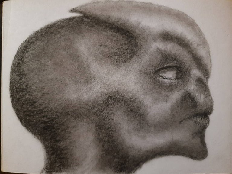 20250501_112829.jpg