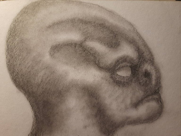 20250604_110353.jpg