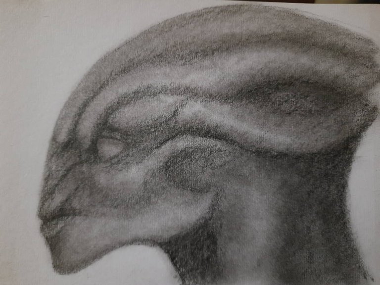 20240531_112614.jpg