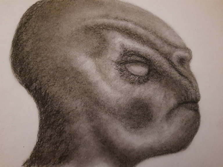 20250517_114008.jpg