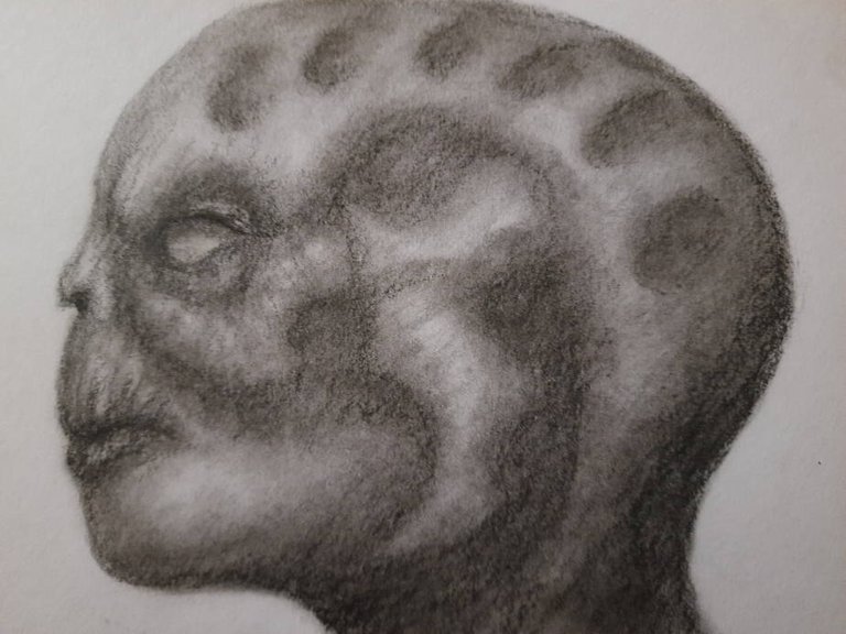 20250602_113414.jpg